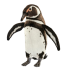 Hansa Plüss Játék Galapagos pingvin 22cm. Ma (7099)