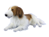 Hansa Plüss Játék Holland Csali Spániel Fekvő 68cm.H (8742)